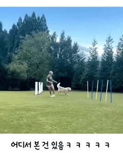 これどこかで見たな