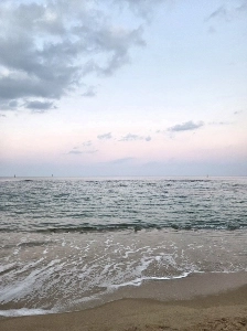 束草へフィールドトレーニングに来てください(ヘパランギル26k LSD)