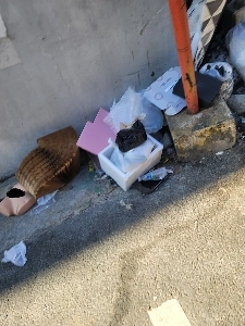 これまでの人生で見た中で最も衝撃的なもの