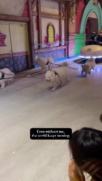 (SOUND)年末のプライベート・エクイティ・ファンドの最新情報