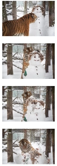 雪だるまを割った男を捕まえるために監視カメラを見ました。jpg