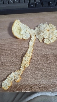 私と同じようにみかんの皮をむく人はいますか？