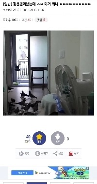 窓を開けっ放しにしたんだけど、これは一体何なんだ？