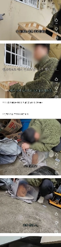 猫を亡くした飼い主は猫を見た瞬間に倒れてしまった。