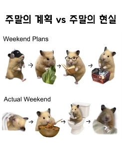 週末の計画と現実