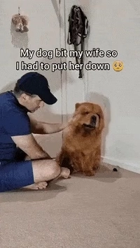 犬に妻を噛まれ安楽死を選択せざるを得なかった夫.mp4