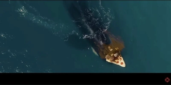 YouTubeの検閲によりジャンルが変更されました