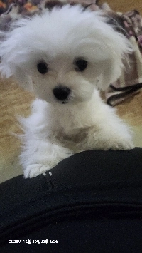 良い新年をお迎えください