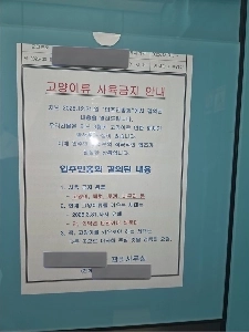 一部のアパートで猫が禁止されている理由