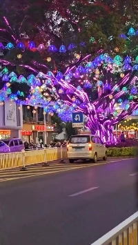 (SOUND)中国の旧正月ツリーの装飾レベル.mp4