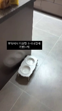 (SOUND)キッチンから変な音が聞こえ続けたので、そこに行きました。