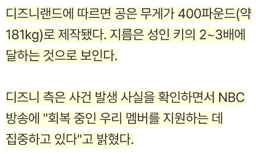 (SOUND)ディズニーランド職員、180キロのボールに飛び乗って観客を救うㄷㄷㄷ