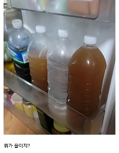 弱者は生きていけない田舎の冷蔵庫