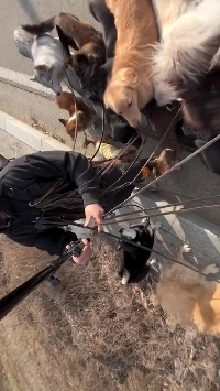 (SOUND)ダイソー5000ウォン三脚レビュー