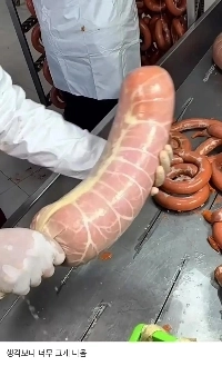 ソーセージ工場からの不良品