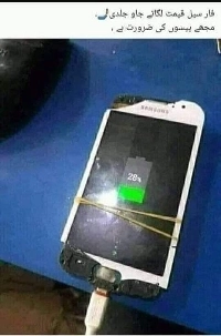 「「「「殺してください！」」」」