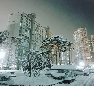 大雪ですね（笑）