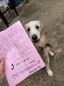 隣の次女の履歴書