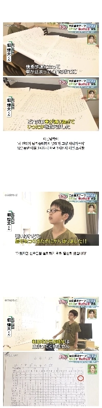 日本の小学生の夏休みの宿題の質