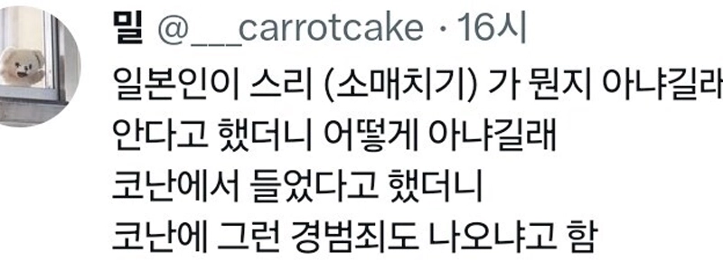 日本人：スリとは何か知っていますか？