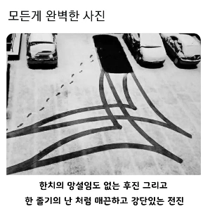 すべてが完璧な写真です