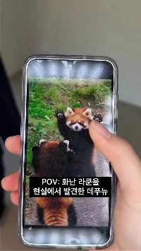 (SOUND)ベビービーストシープはまさに7人目の女性ではないでしょうか？