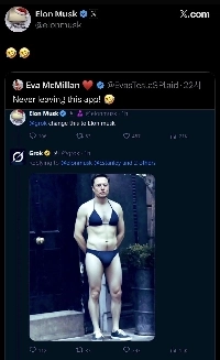 現在物議を醸しているTwitterの新機能ビキニ