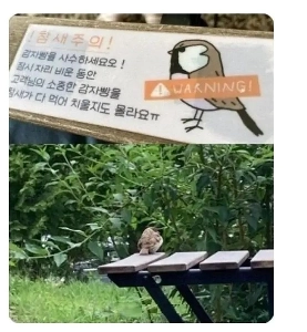 ポテトブレッドレストランに掲示された警告