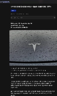 テスラはどこまで下落するでしょうか？