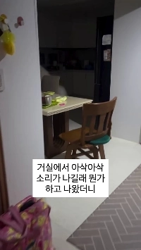 (SOUND)リビングからガサガサという音が聞こえました。