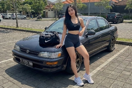 何なのか全く分からない車