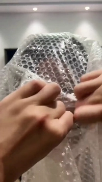 (SOUND)技術の進歩、リアルドールの現状