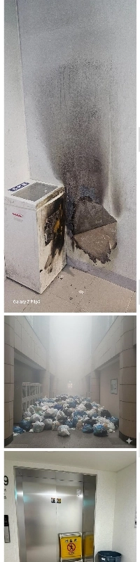 LCTリサイクル箱で昆虫を吸って放火