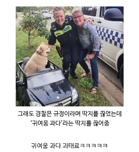 オーストラリアで無免許運転摘発