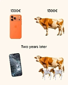iPhone のお金で牛を買うと儲かる理由
