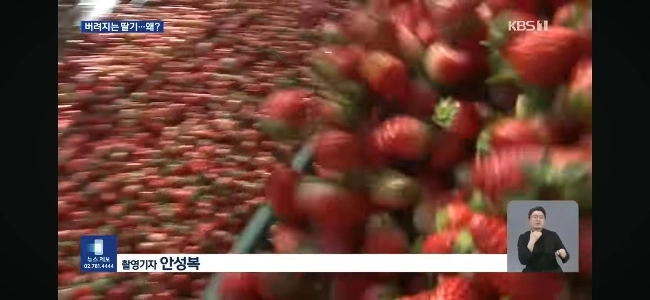 今年も不可解なニュースが繰り返される