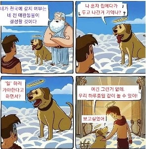 「あなたが天国に行けるかどうかはあなたのペットが決めるのです！」