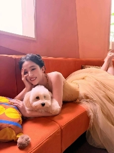 ドレスを着たリウ・イーフェイの現在の状況