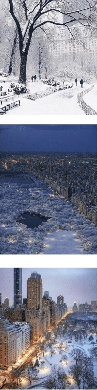 大雪に覆われたニューヨークのセントラルパーク