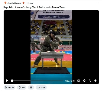 (SOUND)Reddit.mp4に投稿された韓国軍テコンドーのデモンストレーション