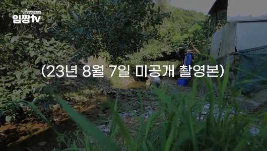 イムジャンTV YouTubeの現状