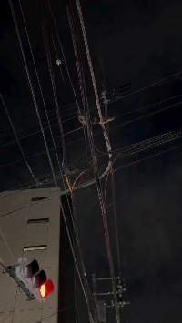 (SOUND)日本の電柱の上の動物ㄷㄷ.mp4