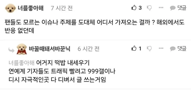 中国チャン・ウォニョン不買運動記事の特徴