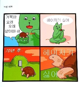 むやみにカメを飼ってはいけない理由