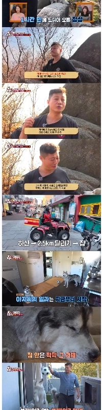 虐待されているとして物議を醸した犬ぞりの現状