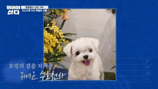 チョン・ホヨンシェフが21kmレースを涙ながらに完走した理由