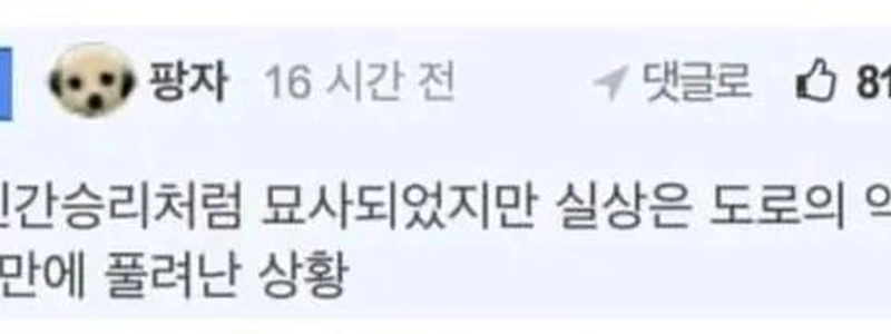 伝説の運転免許試験合格者たち