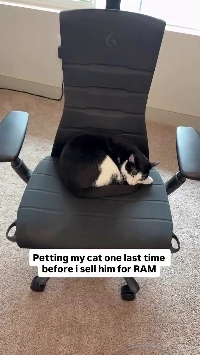 (SOUND)CPUは捨てずに保管してください