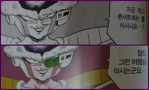 韓国に行ったことのあるフリーザーさん