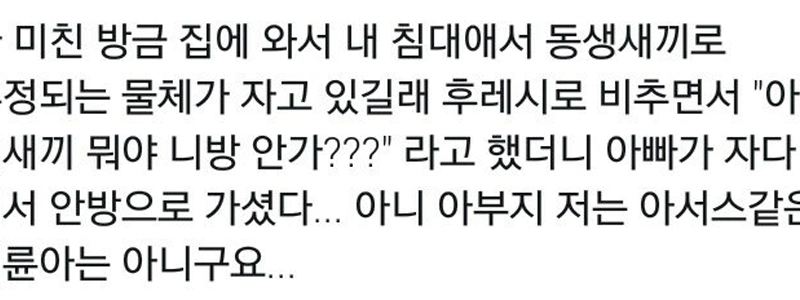 私のベッドで誰かが寝ているのを見つけました。jpg